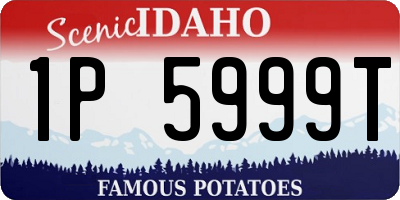 ID license plate 1P5999T