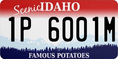 ID license plate 1P6001M
