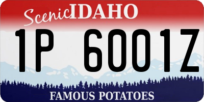 ID license plate 1P6001Z