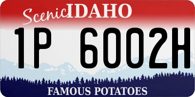 ID license plate 1P6002H