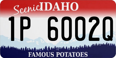 ID license plate 1P6002Q