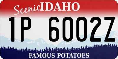 ID license plate 1P6002Z