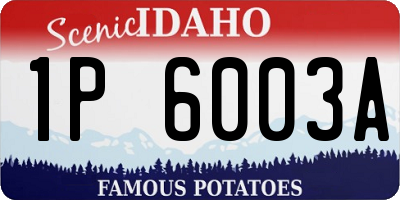 ID license plate 1P6003A