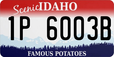 ID license plate 1P6003B