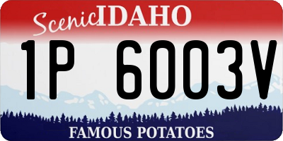 ID license plate 1P6003V