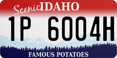 ID license plate 1P6004H