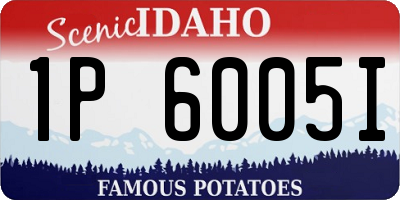 ID license plate 1P6005I