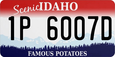 ID license plate 1P6007D