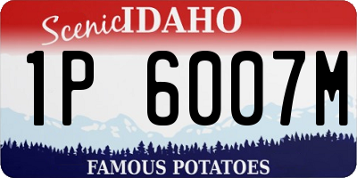 ID license plate 1P6007M