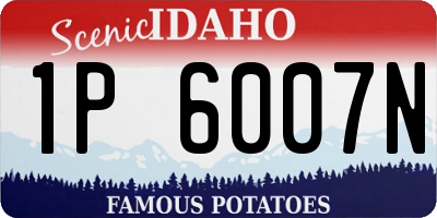 ID license plate 1P6007N
