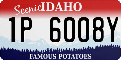 ID license plate 1P6008Y