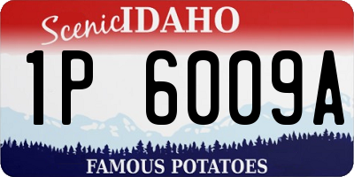 ID license plate 1P6009A