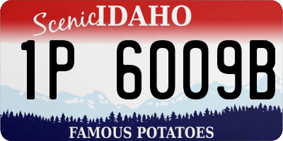 ID license plate 1P6009B