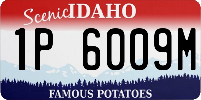 ID license plate 1P6009M