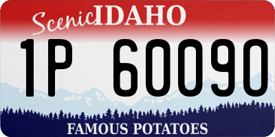 ID license plate 1P6009O