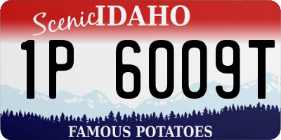 ID license plate 1P6009T