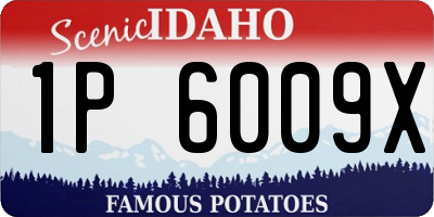 ID license plate 1P6009X