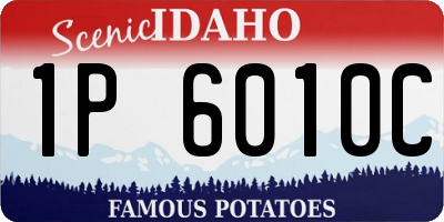 ID license plate 1P6010C