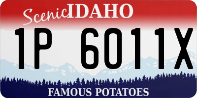 ID license plate 1P6011X