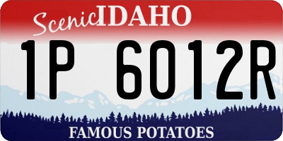 ID license plate 1P6012R