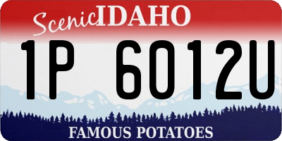 ID license plate 1P6012U