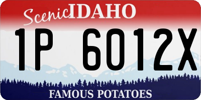ID license plate 1P6012X