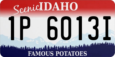 ID license plate 1P6013I