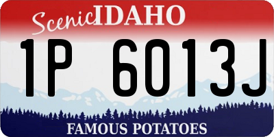 ID license plate 1P6013J