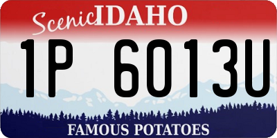 ID license plate 1P6013U