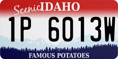 ID license plate 1P6013W