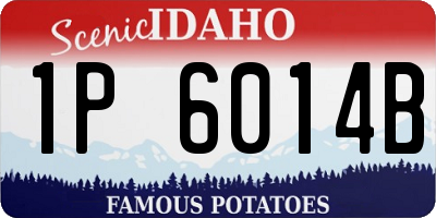 ID license plate 1P6014B