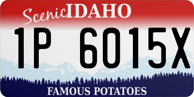ID license plate 1P6015X