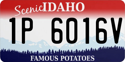 ID license plate 1P6016V