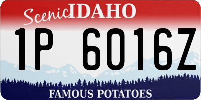 ID license plate 1P6016Z