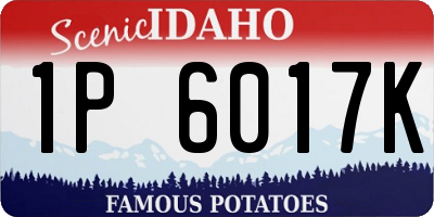ID license plate 1P6017K