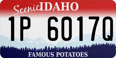 ID license plate 1P6017Q