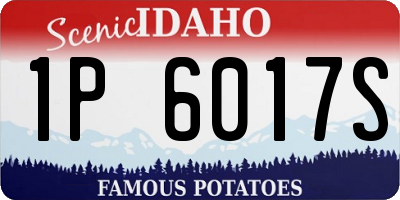 ID license plate 1P6017S