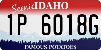 ID license plate 1P6018G