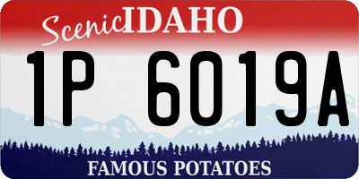 ID license plate 1P6019A