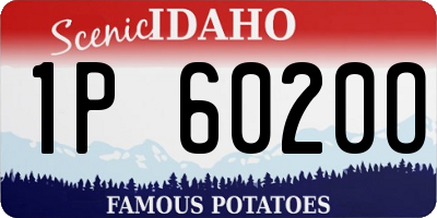 ID license plate 1P6020O