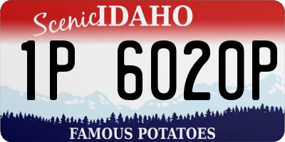 ID license plate 1P6020P