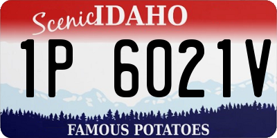 ID license plate 1P6021V