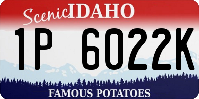 ID license plate 1P6022K