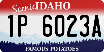 ID license plate 1P6023A