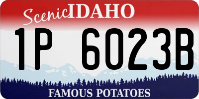ID license plate 1P6023B