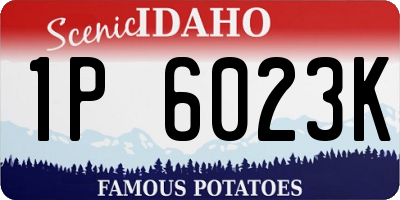 ID license plate 1P6023K