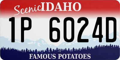 ID license plate 1P6024D