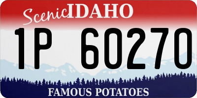 ID license plate 1P6027O