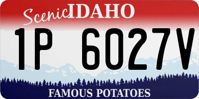 ID license plate 1P6027V