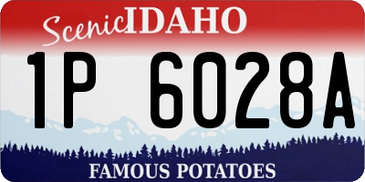ID license plate 1P6028A
